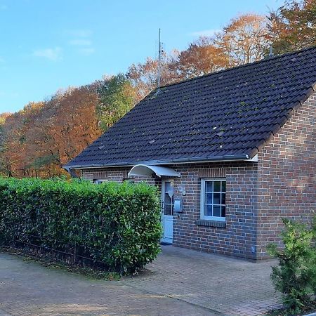 "Am Waldesrand" Re16 Villa Sögel Eksteriør billede